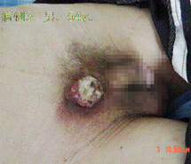 ʱ(й)ǲ!